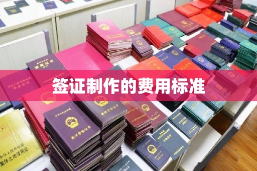 汉川签证制作的费用标准