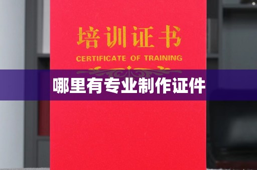 汉川哪里有专业制作证件